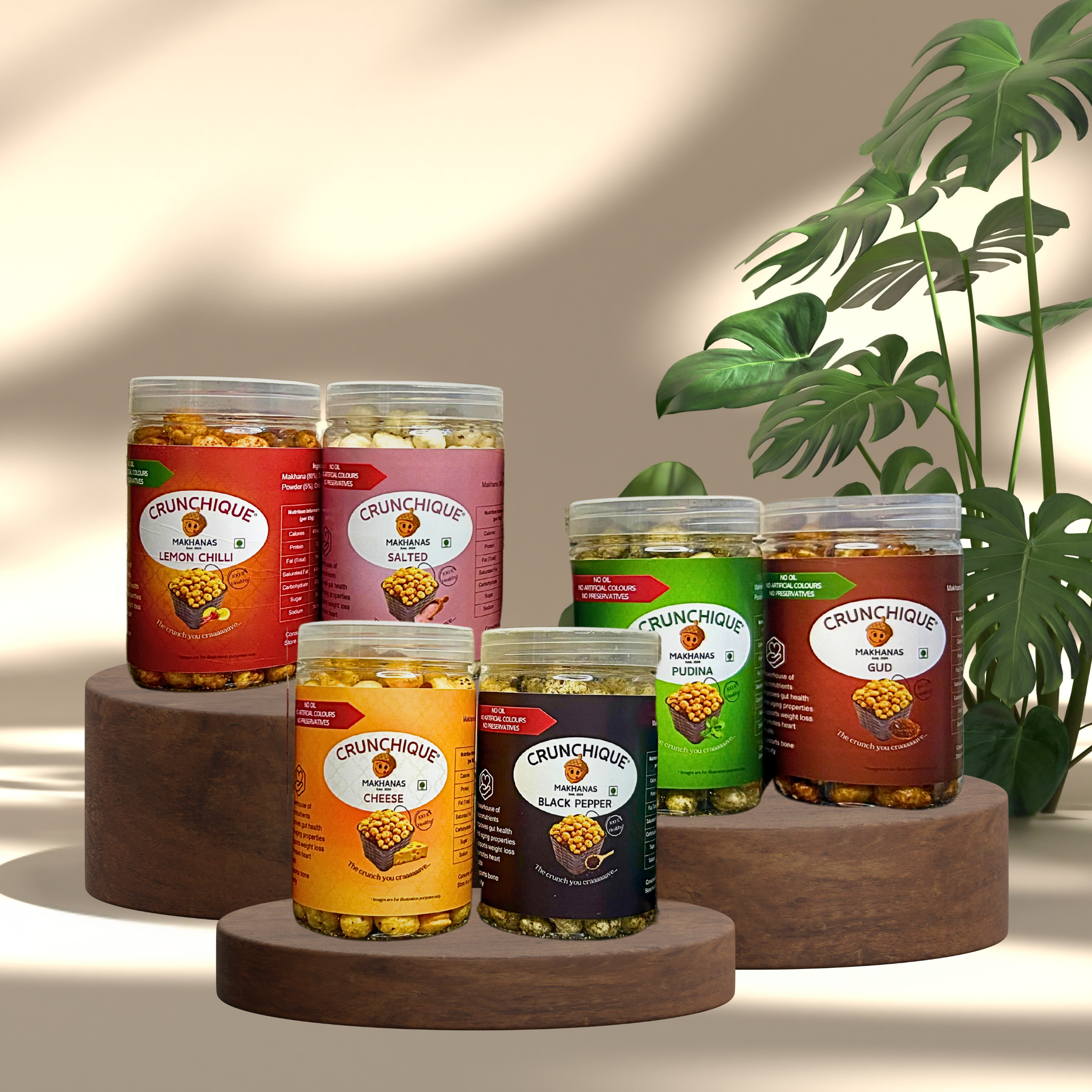 All Flavors Makhana Combo